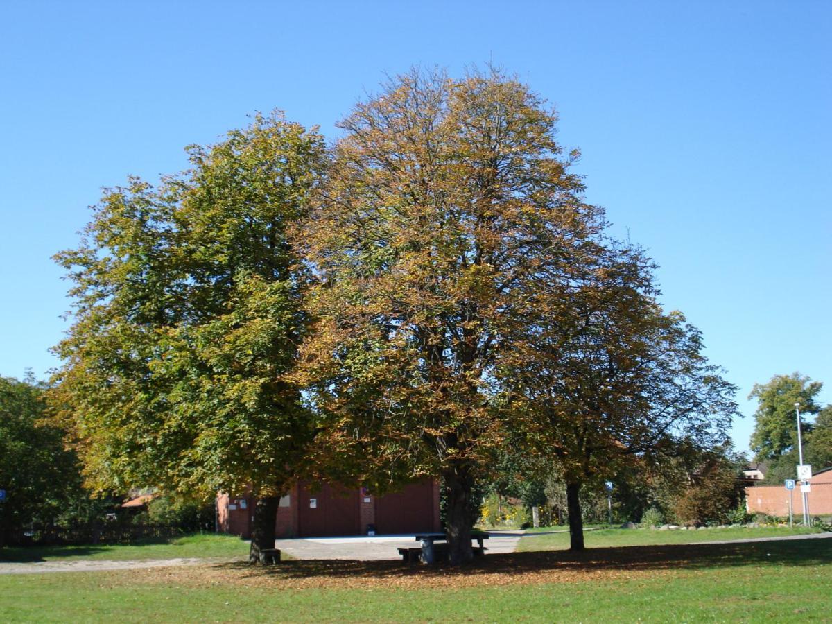 De Luet Ferienhof Jameln Екстериор снимка