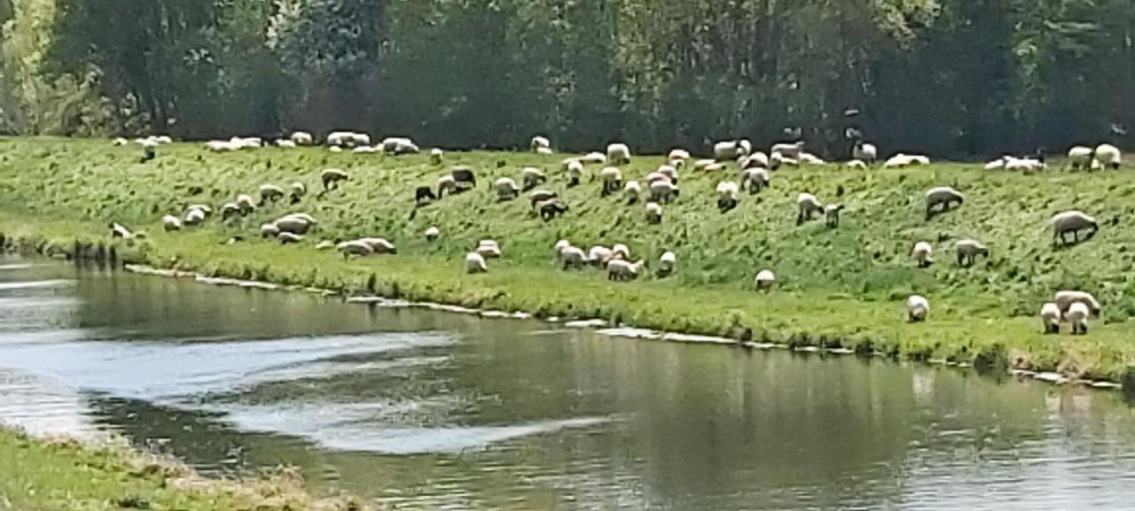 De Luet Ferienhof Jameln Екстериор снимка